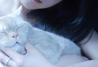 “51吃瓜”使用指南：别忘了，免费有门路，方法得掌握！