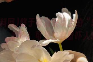 终于等到安卓上的“51爆料网”，真香！可是信息量吓人啊！
