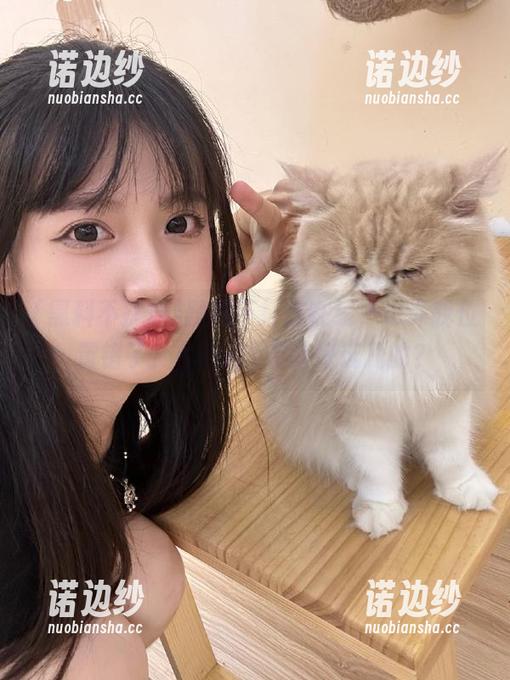 黑料不打烊在线，也许我位置错了？github有啥好玩儿的？