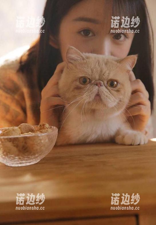 黑料传送门资源多到让你无法迷路，信我就行！