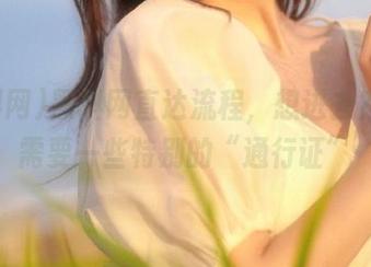 黑料网直达流程，想进去？那得需要一些特别的“通行证”